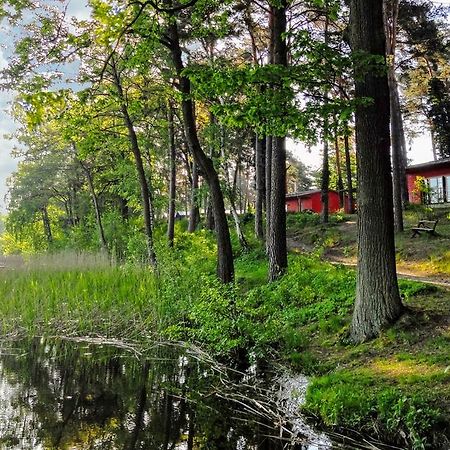 Ferienpark Am Glubigsee ヴェンディッシュ・リーツ エクステリア 写真